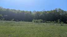 Teren 5.735 mp Poienița, intravilan, lângă pădure, direct proprietar