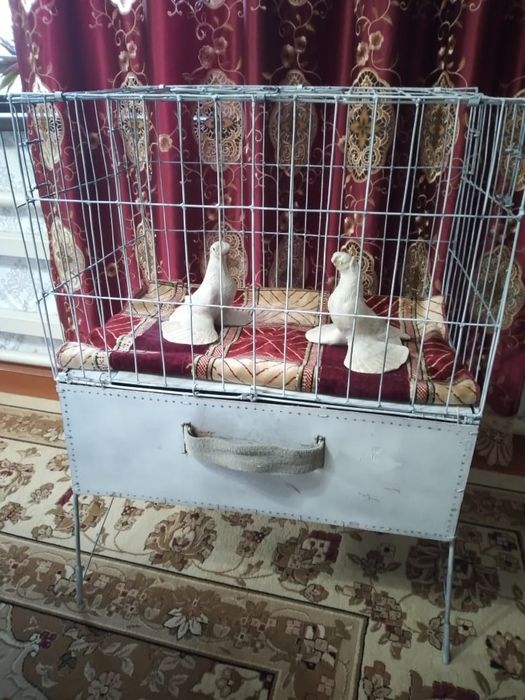 Сетка чемодан 3в1