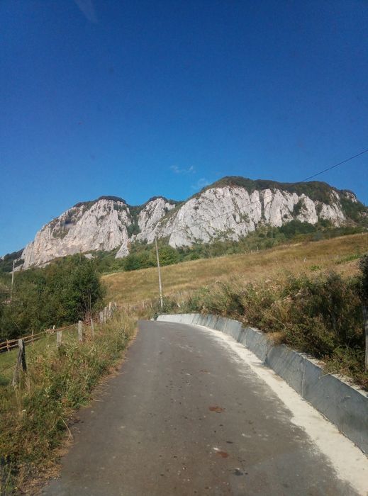 Vând teren in Munții Apuseni!