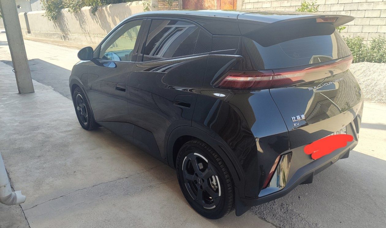 BYD sotiladi holati ideal