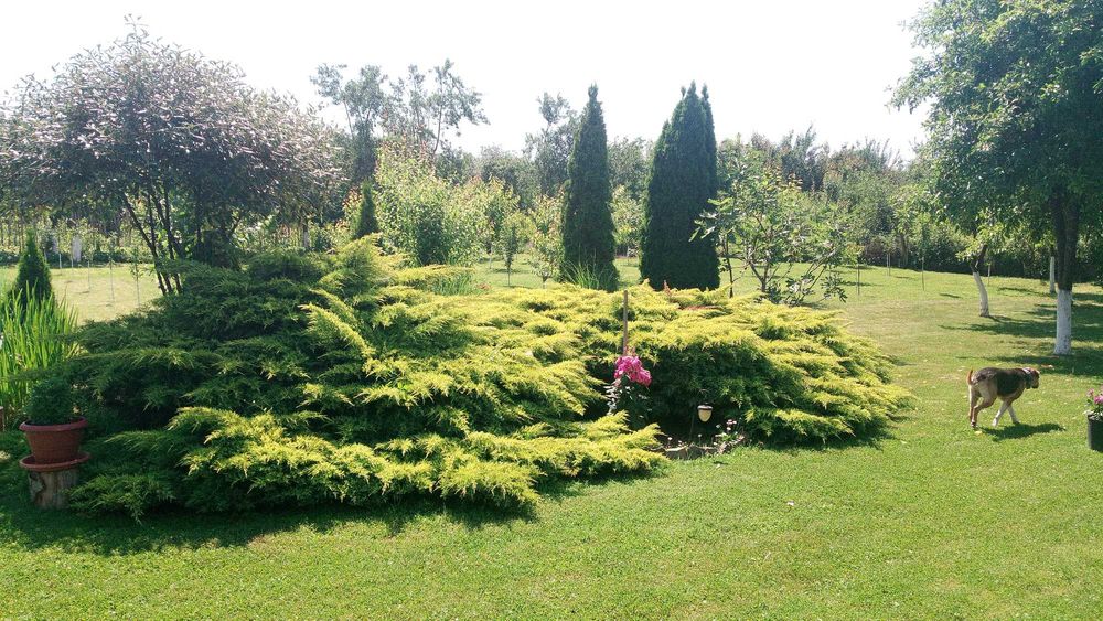 Casa pitoreasca la tara