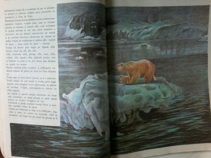 Fram ursul polar - de Cezar Petrescu,editura Ion Creanga Bucuresti