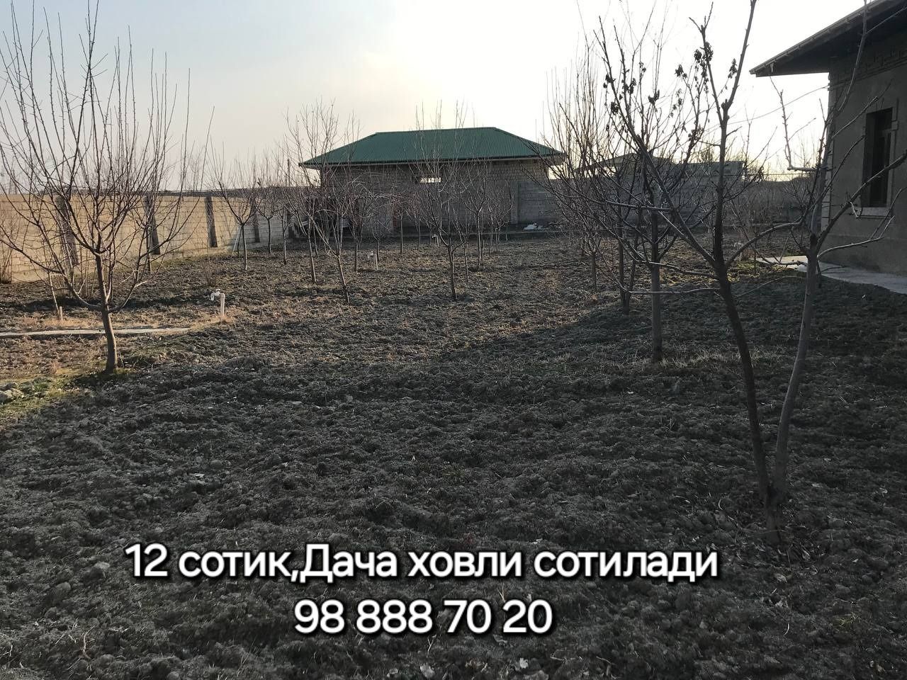 12 сотик Дача ховли