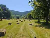 Baloți de fân de anul acesta