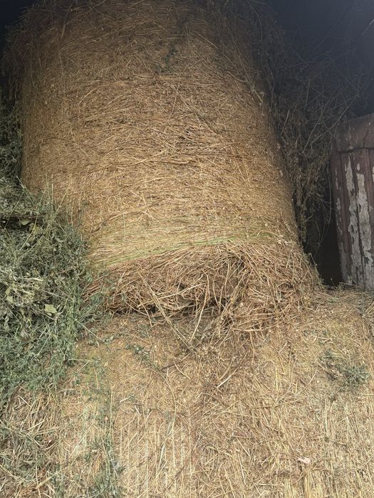 Vand baloti de fan si lucerna