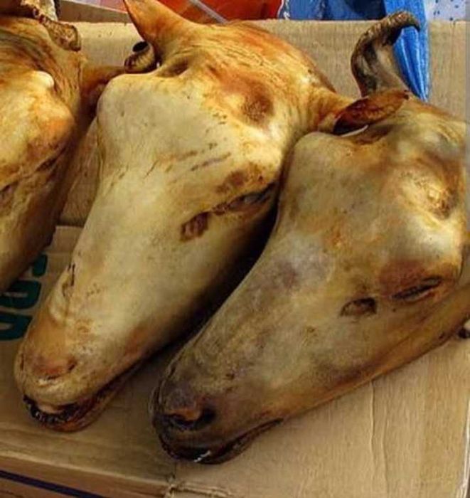 Үйітілген қойдың басы