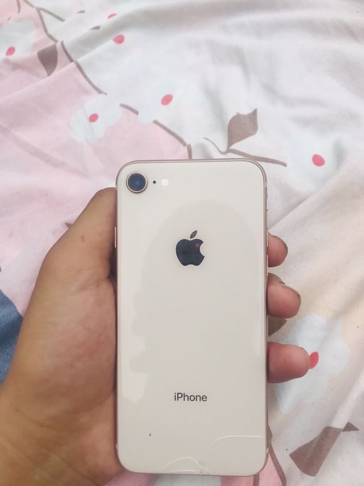 Iphone 8 tel qililar