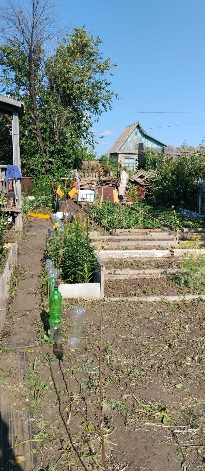 Срочно продам дачу сады 1 аппендицит
