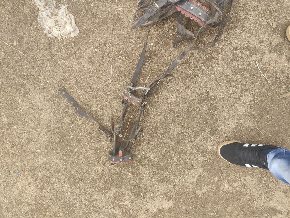 Se vinde ham complect de ponei este folosit de doua ori arata foarte b