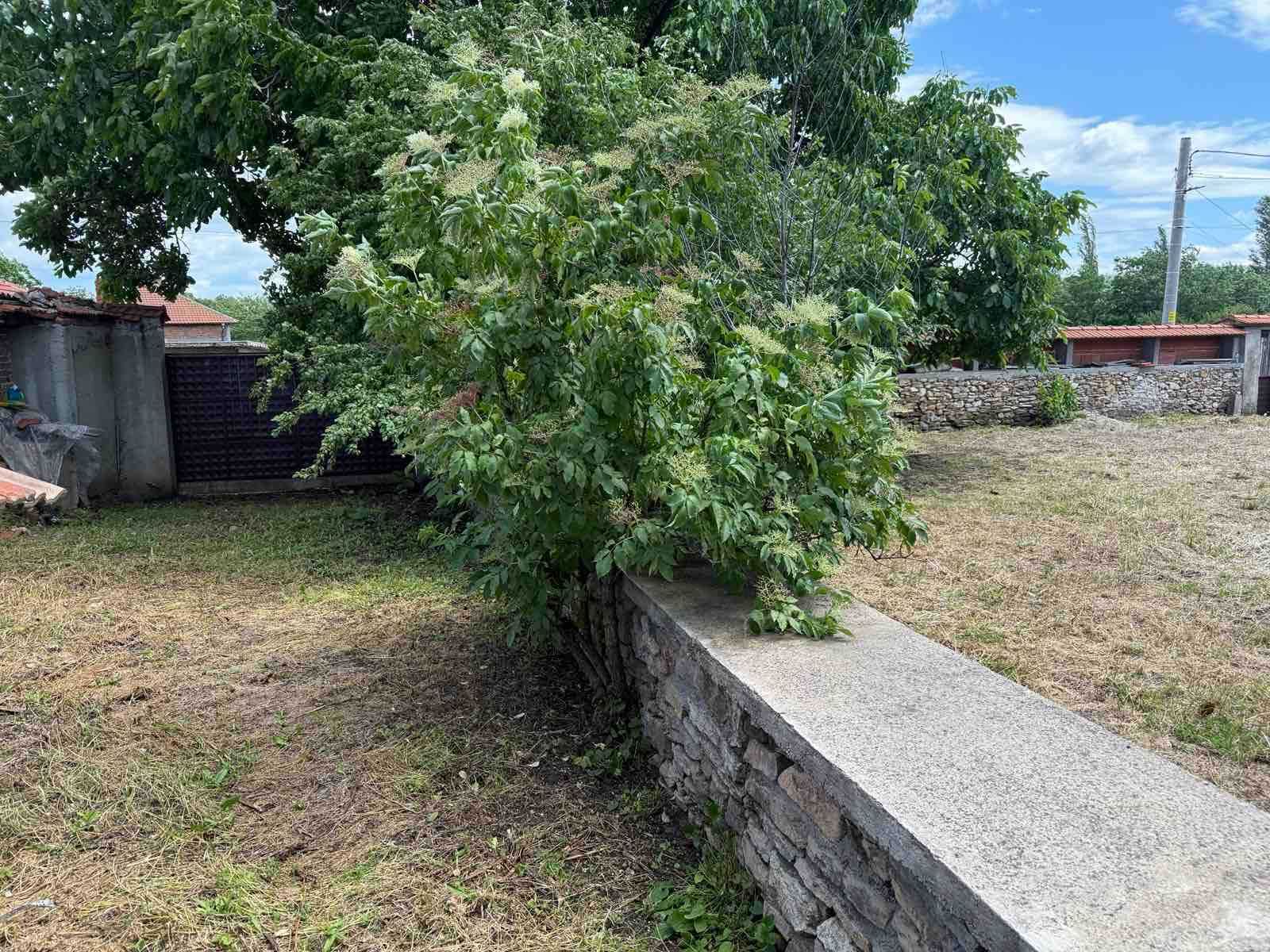 Продава къща с. Добрич , обл.Хасково. Голям двор и отлична локация.