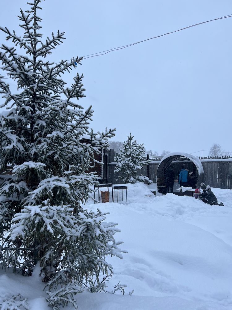 Зимний дом в боровом ( зона отдыха) щучинск