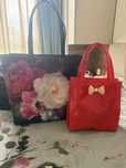Гумени чанти Ted Baker