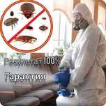Дезинфекция таракан қандала клоп скорпион және басқа жәндіктер