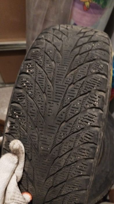 Шина зима nokian