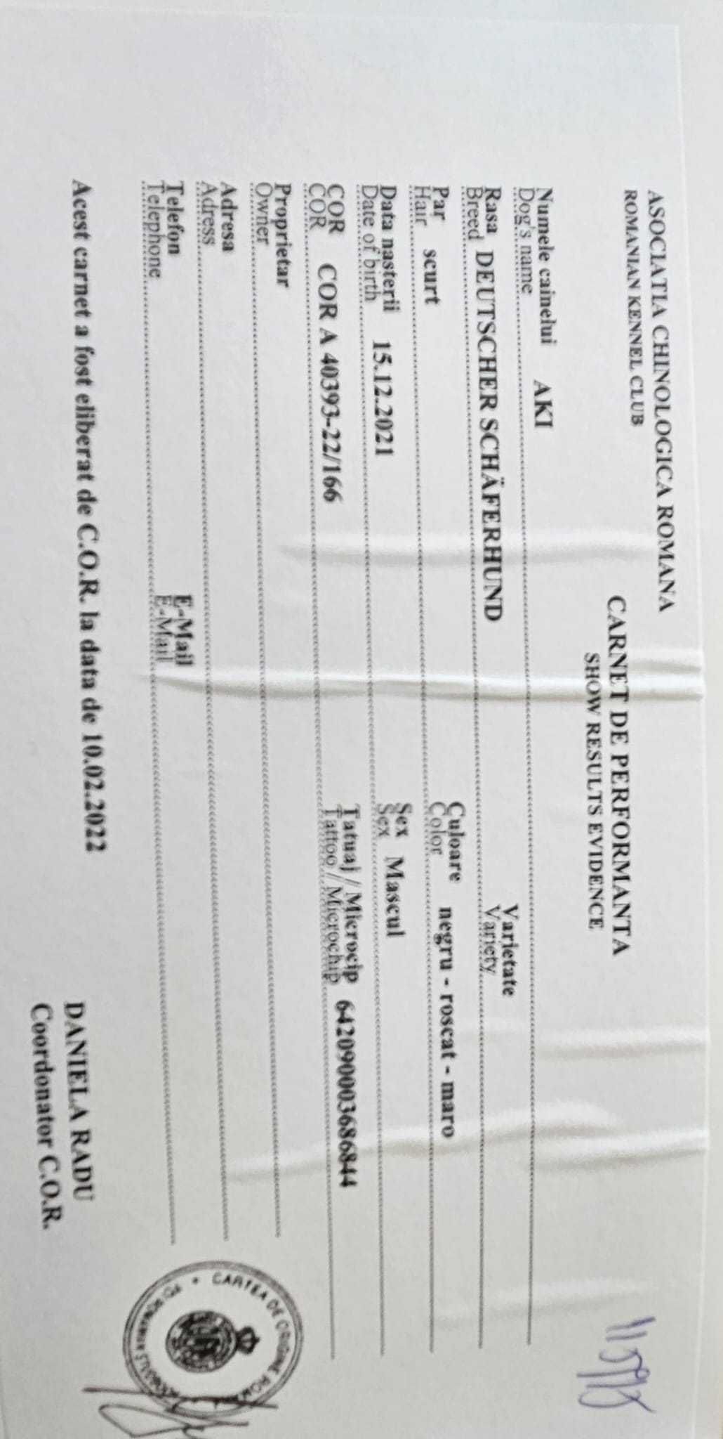 Ofer spre adopție un Ciobanesc German de 3 ani si 6 luni cu pedigree