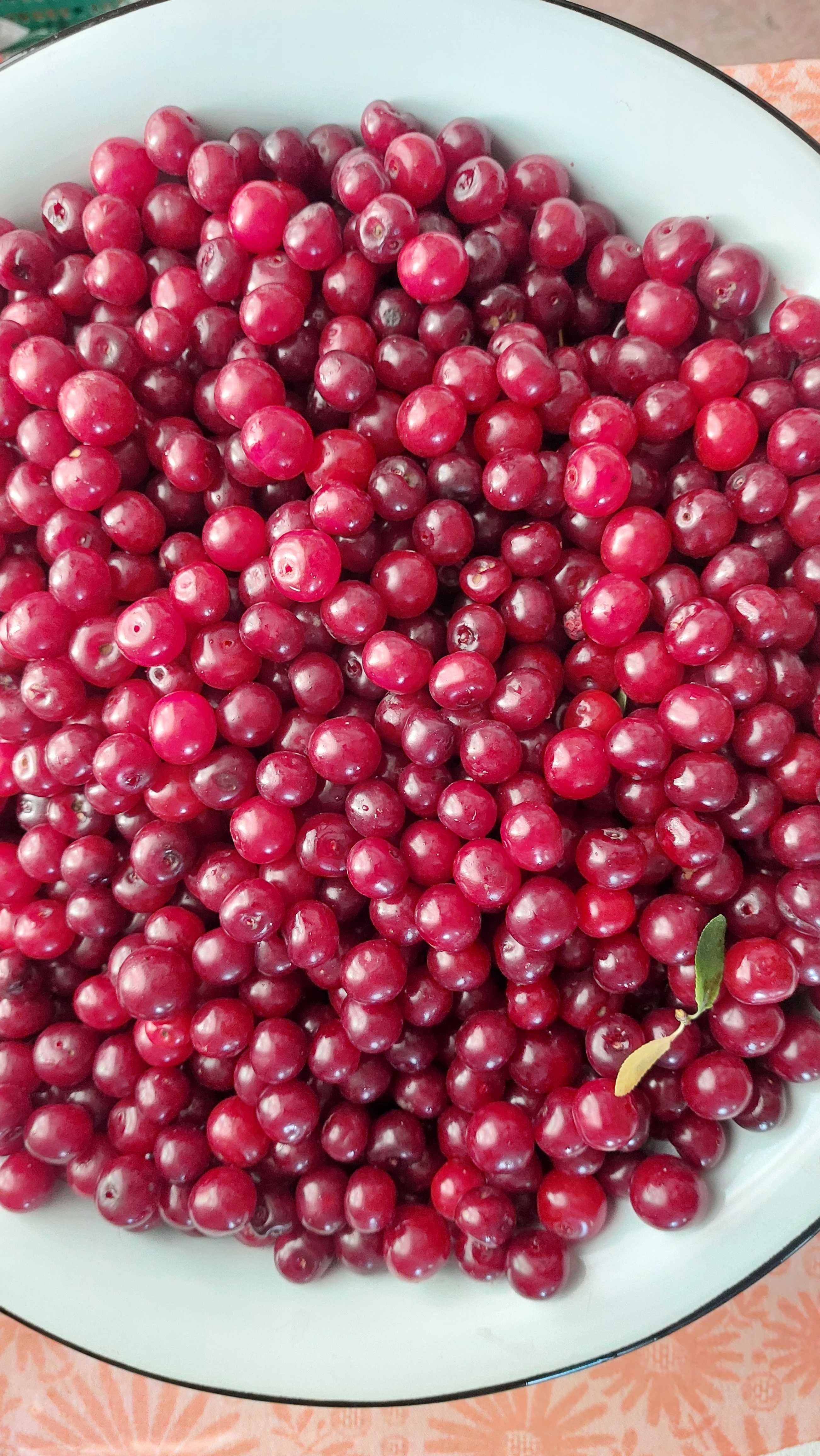 Продам вишню из собственного сада