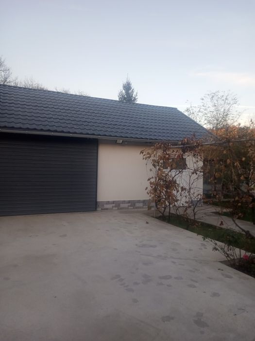 Vopsim orice tip de tabla/acoperiș/lambriu din lemn