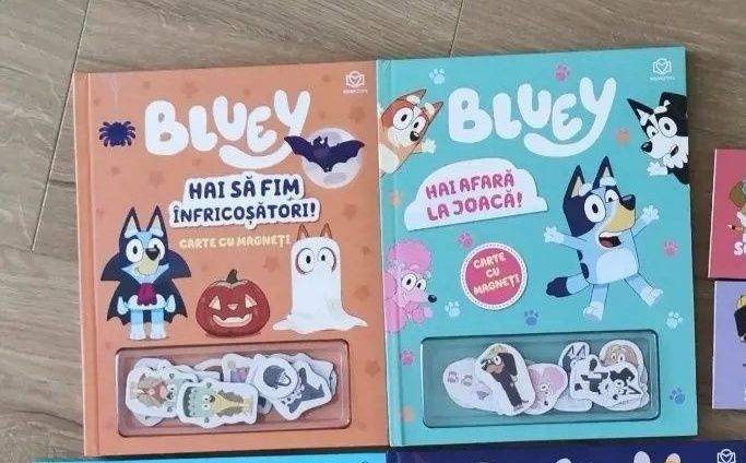 Carti bluey magneti