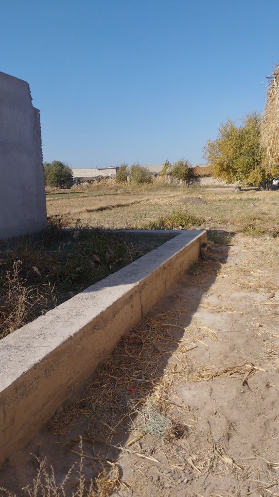 Xonqa tuman istiqlol mahalasi gulzor koʻchasi boshida  joylashgan