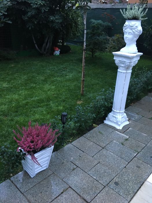 Mentenanța spatii verzi