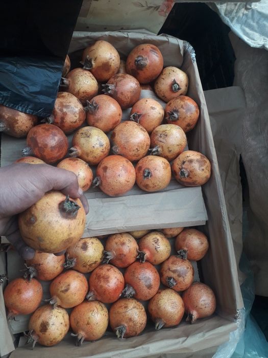 Анор сок учун  сотилади свежи турибди