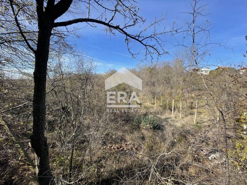 Продава се Парцел в с. Доброглед, Област Варна - 950 кв.м за 26 €/кв.м - Снимка #2