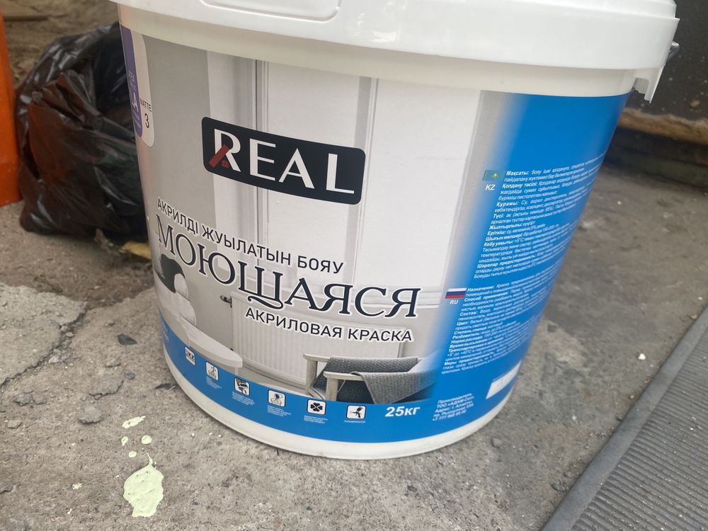 Водоэмульсия моющаяся Real