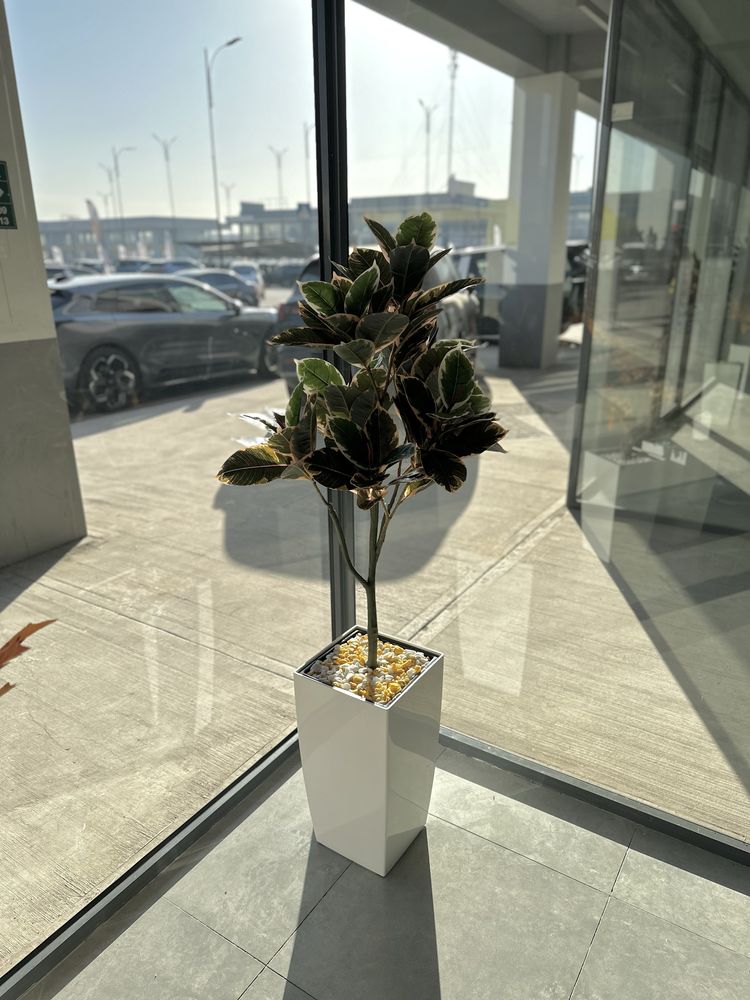 Oyiga 2.000$ daromad olib keladigan sun’iy daraxt va gullar biznesi