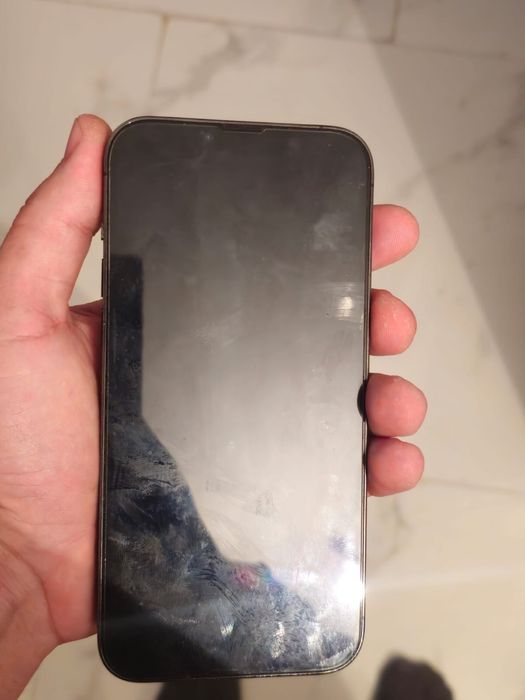 iPhone 13 Pro Max