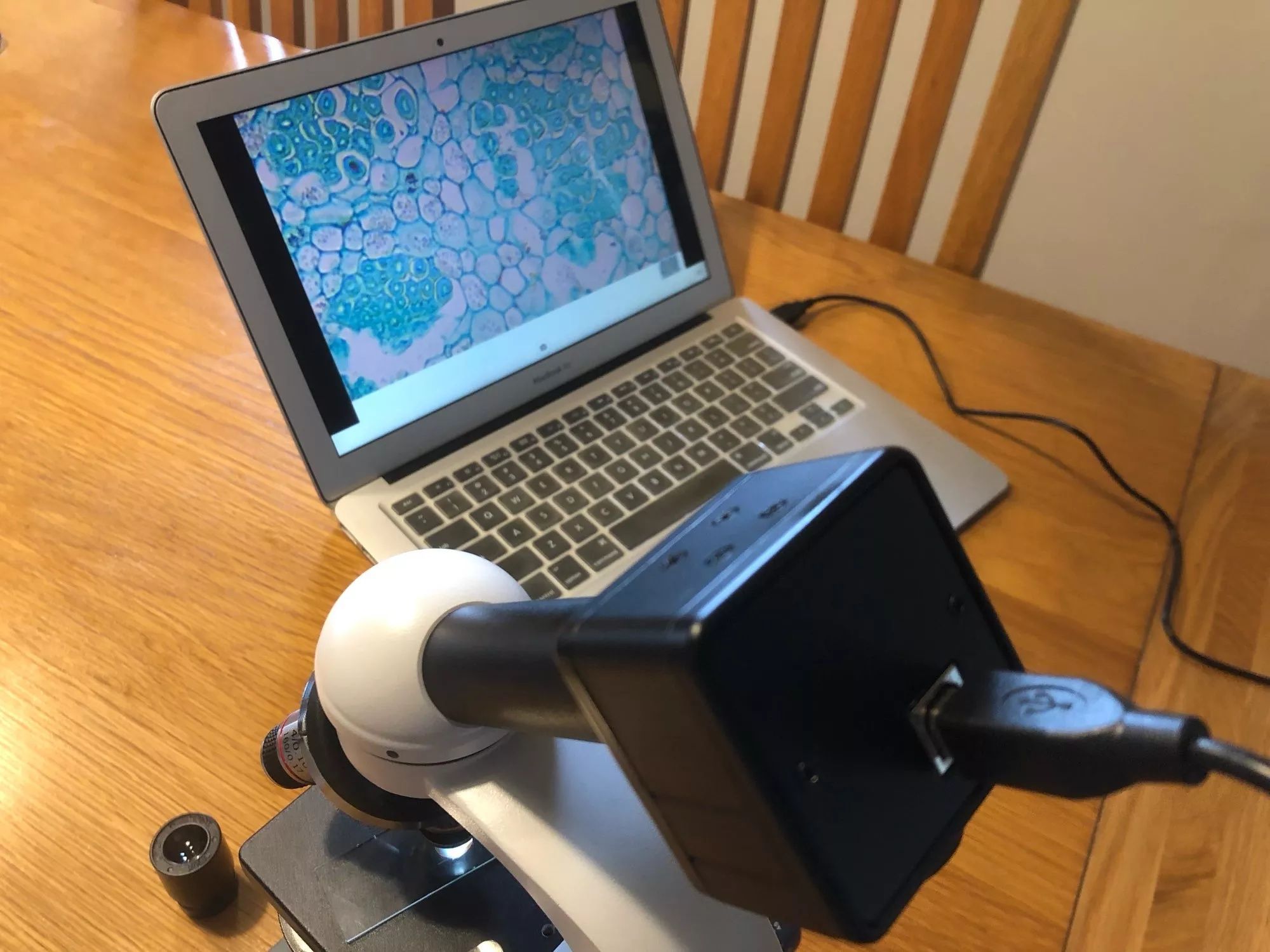 Camera microscop ocular 5 megapixeli foto/video