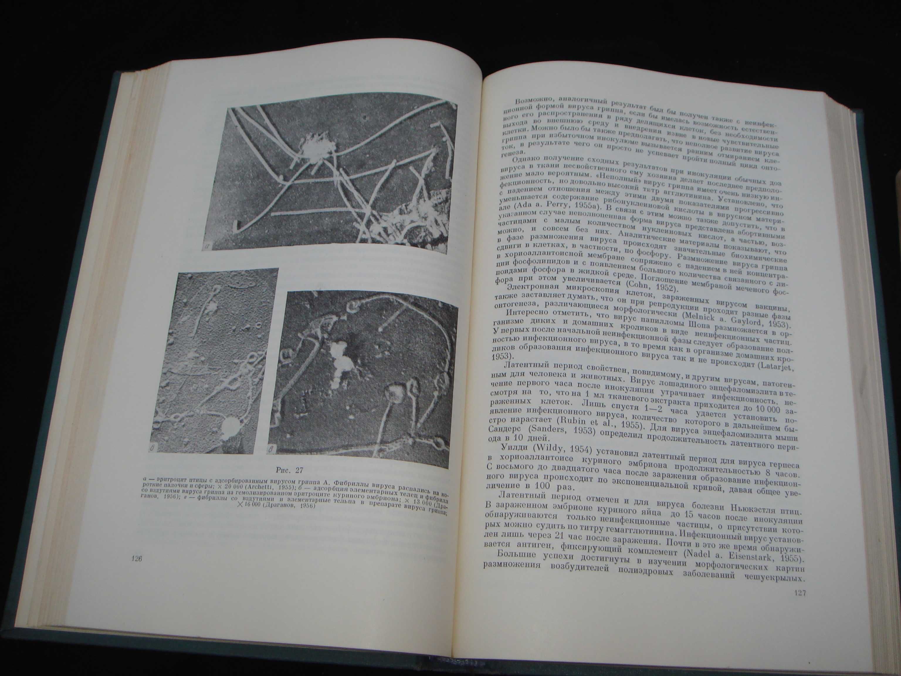 Книга по вирусологии ВИРУСЫ Сухов 1956 года Академия Наук СССР