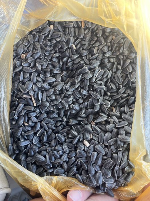 Продам семечки чистые………….