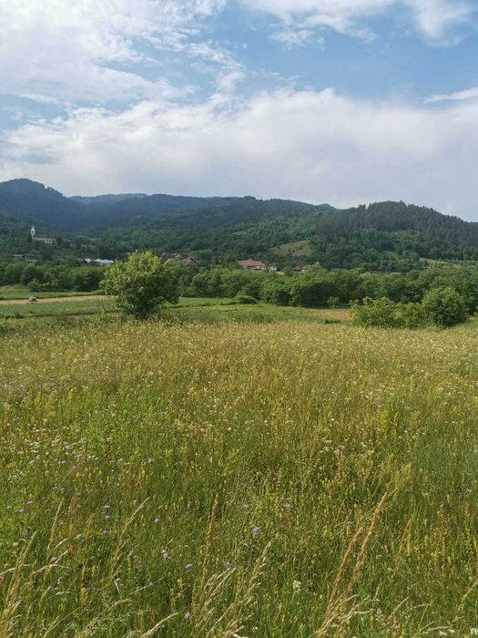 Teren parcelat, valea Ariesului