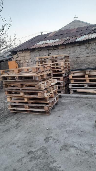 Паддоный евро и широкий