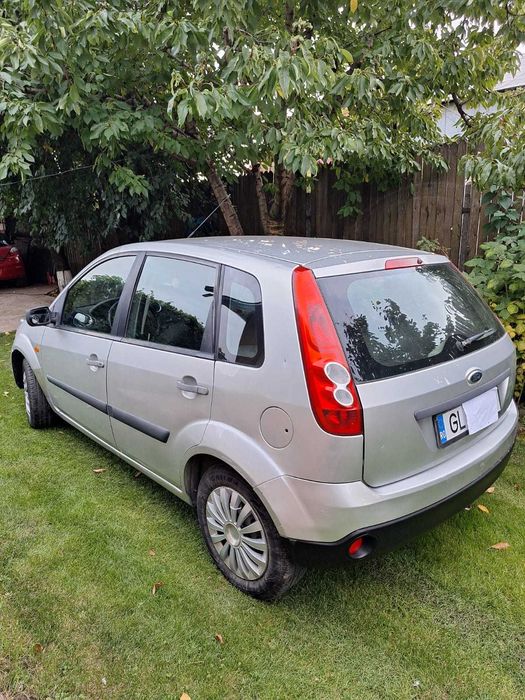 Vand Ford Fiesta