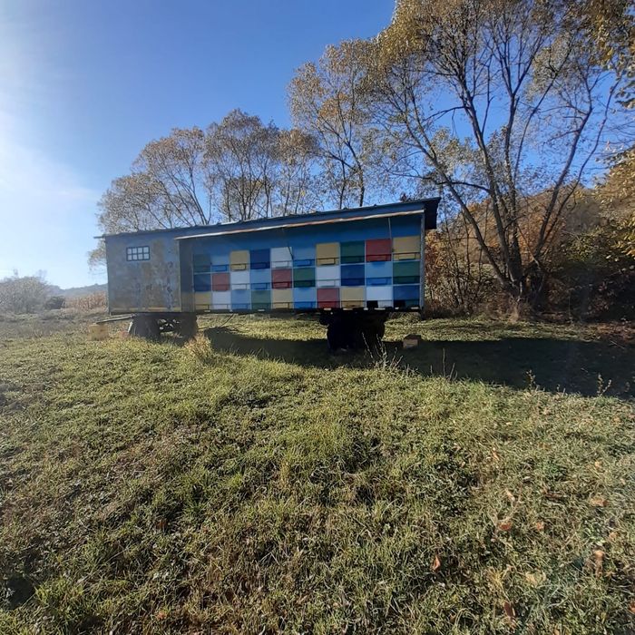 Vând pavilion apicol