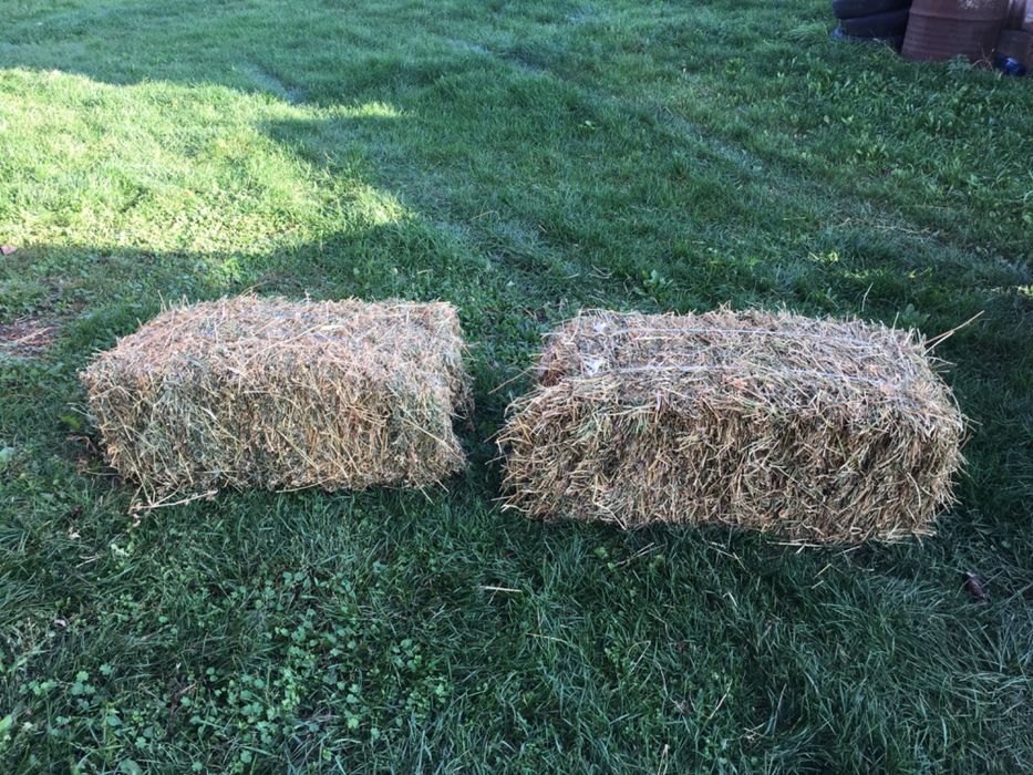 Vând baloți de lucernă și baloți de paie