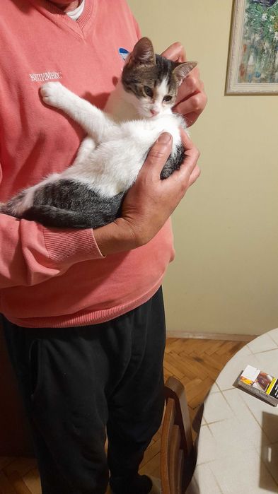 Кая и Мони търсят дом