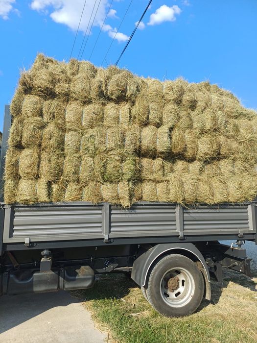 Vând baloți de fân!