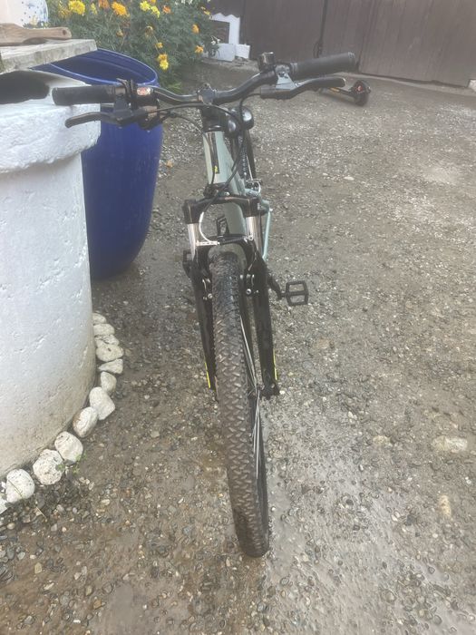 Vand bucucleta ROCKRIDER 2024