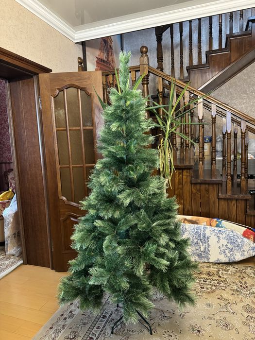 Продам елку , высота 1,8 метра