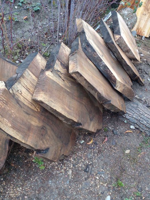 Radacina de nuc sectionata