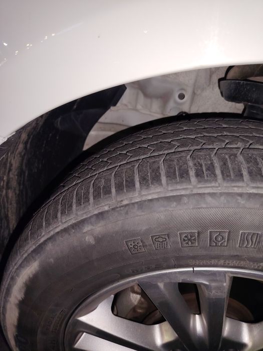 Кобольт 2021/2022