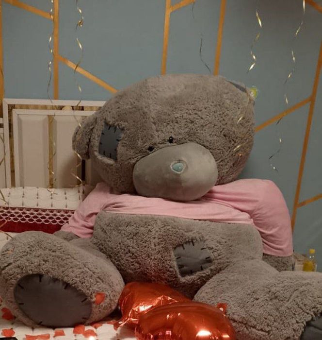 Teddy 2 metr eng kattasi