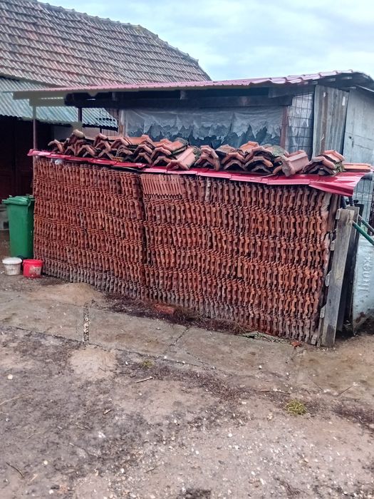 Vând  Tigla  la 50 bani