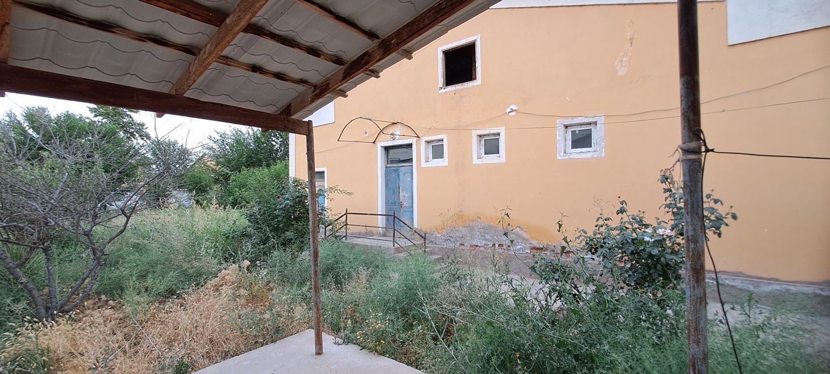 Sherabod tumani Boģobod mahallasi