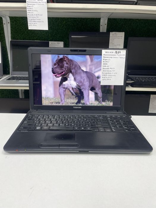 Самый Бюджетный ноутбук для офисных работы и дома Toshiba память120