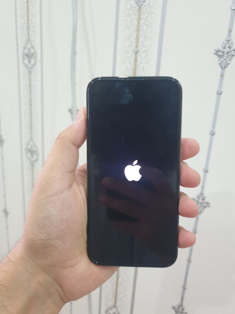 iPhone 13 Pro 512Gb