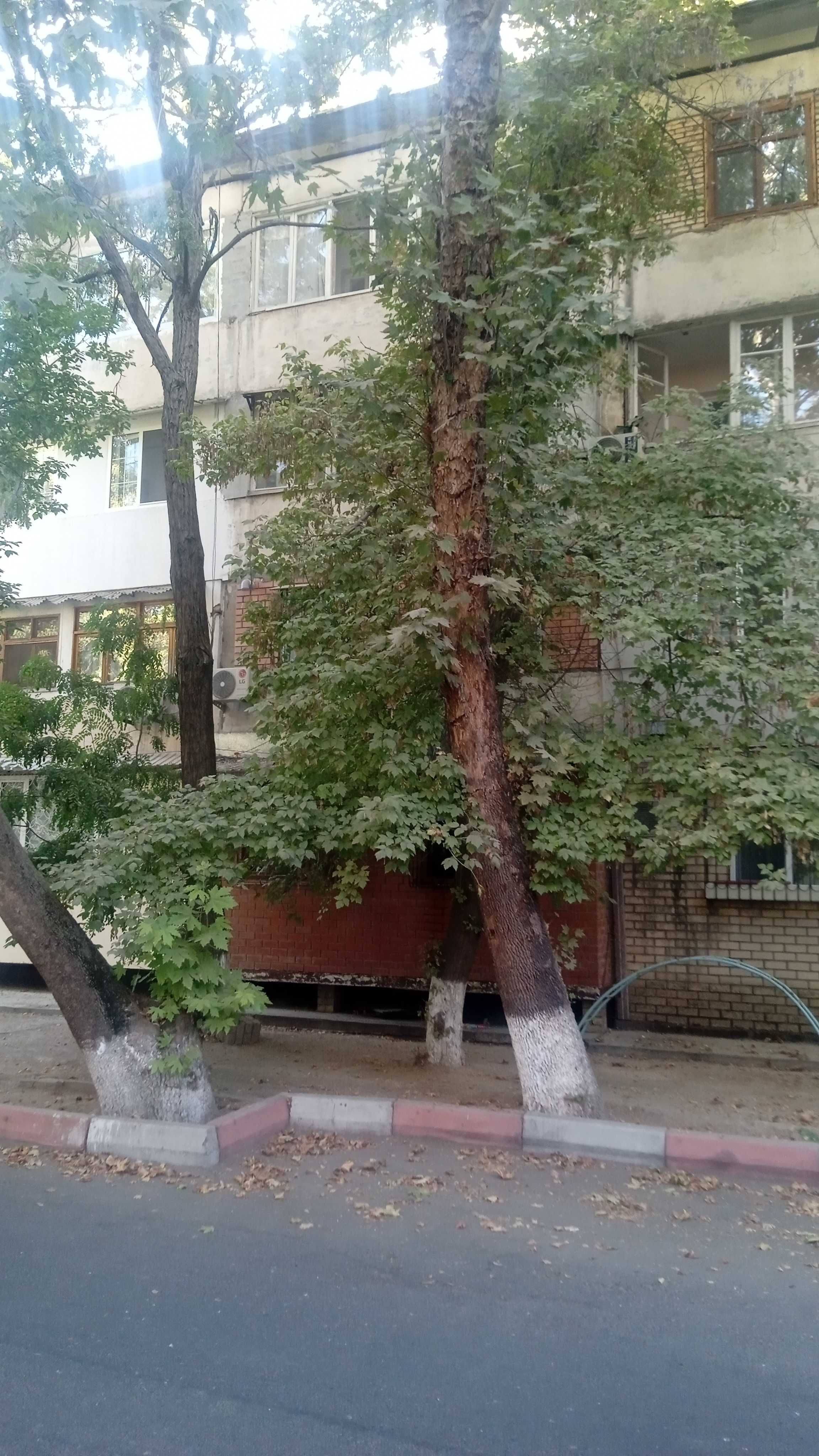 Новомосков Квартира под офис первый этаж 250 тысяч  ye возможно аренда