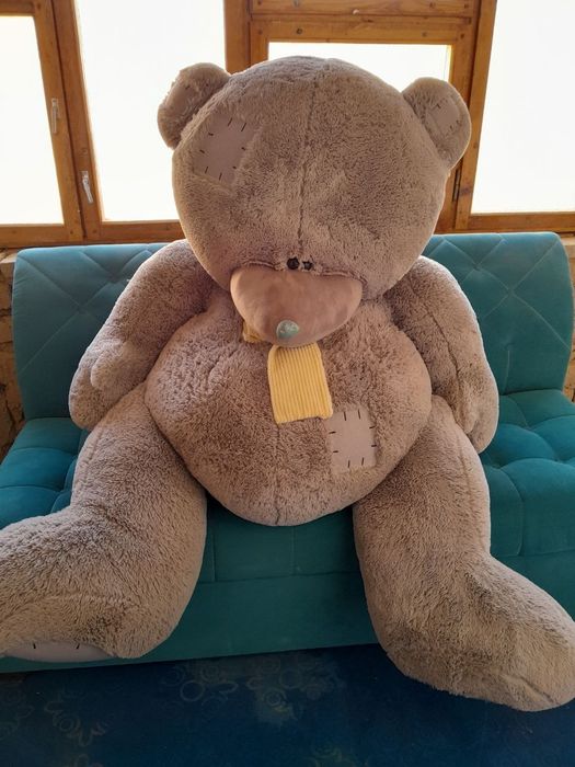 Teddy.   eng katta  razmeri.